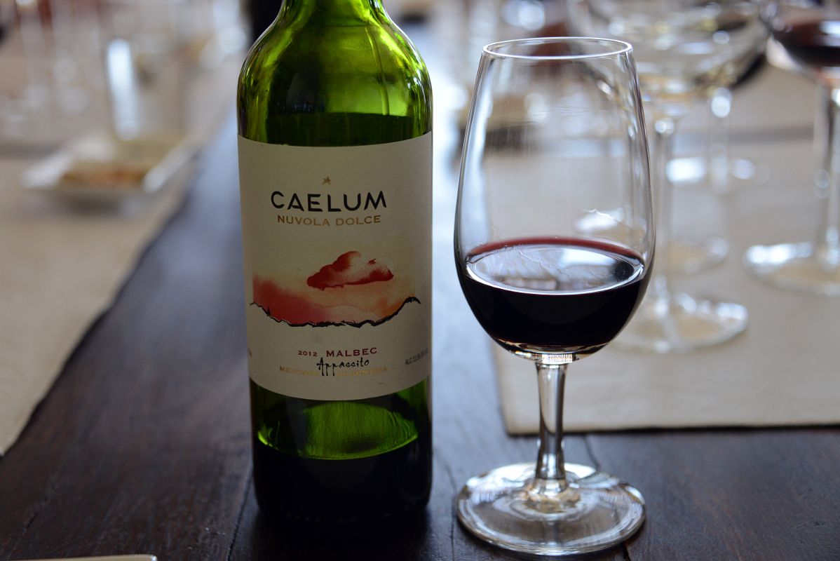 08-11 The Best Was Saved For Last Malbec Appassito At Caellum Winery On Our Lujan de Cuyo Wine Tour Near Mendoza